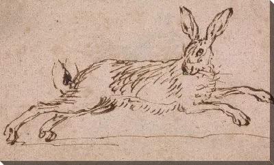 Картина Заяц Бегущий, с Ушными Уколами