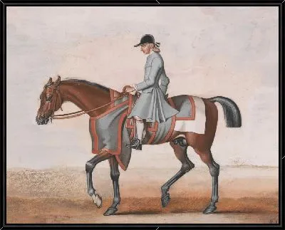 Картина Белая нога лорда Годолфина, очень известная лошадь, которую никогда не били