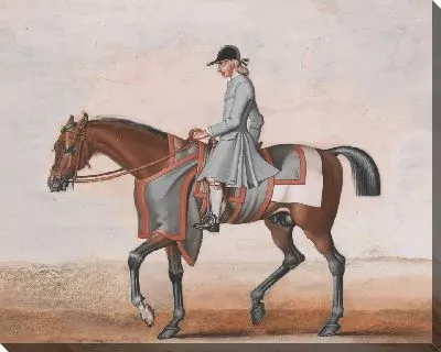 Картина Белая нога лорда Годолфина, очень известная лошадь, которую никогда не били