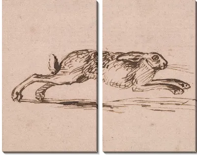 Картина Бегущий заяц с ушими