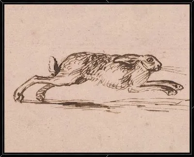 Бегущий заяц с ушими