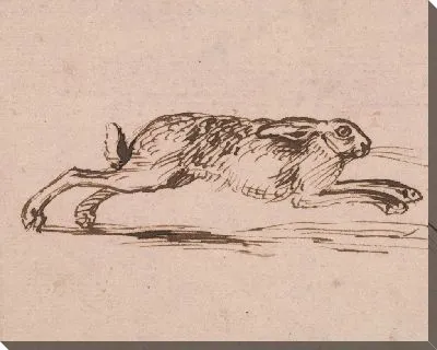 Бегущий заяц с ушими