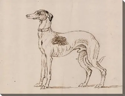 Картина Борзая, выходящая налево