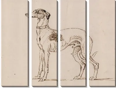 Борзая, выходящая налево