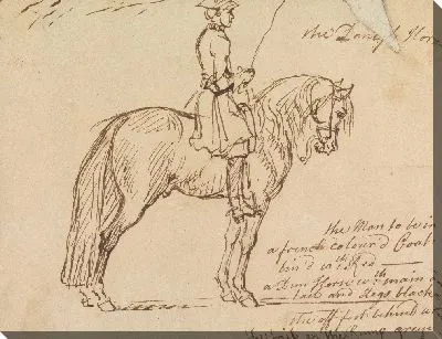 Картина «Датская лошадь» на тренировке: стоя, с тренером, держащим кнут