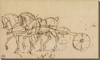 Две лошади рыщут в упряжке