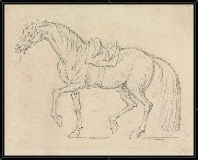 Картина Оседланная лошадь, идущая налево