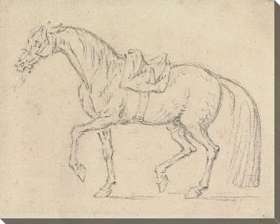 Картина Оседланная лошадь, идущая налево