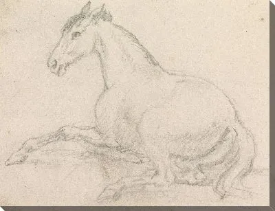 Картина Лошадь лежа