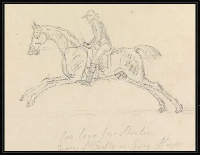 Картина Скаковая лошадь с жокей вверх: скачущий, вид сбоку; жокей держит переключатель