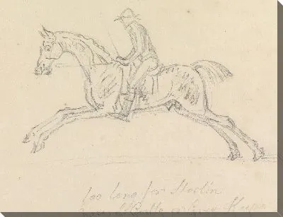 Картина Скаковая лошадь с жокей вверх: скачущий, вид сбоку; жокей держит переключатель