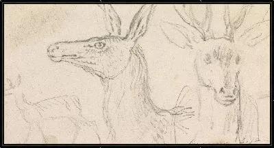 Картина Исследования голов оленей