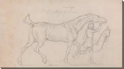 Картина Человек, ведущий рыцарей жеребца направо