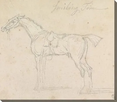 Картина Улыбающийся Том, Оседланный и Обузданный: Стоя, Левый