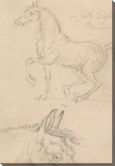 Картина Лошадь, идущая налево