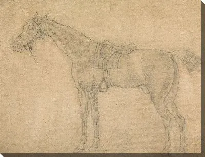 Картина Оседланная лошадь, выходящая налево