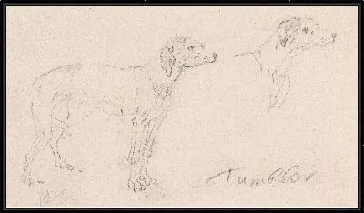 Картина Два этюда о собачке