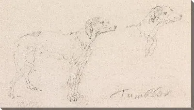 Картина Два этюда о собачке