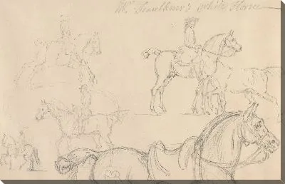 Картина Шесть исследований лошадей и всадников