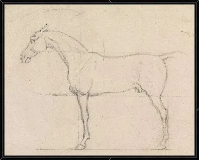 Лошадь в профиль