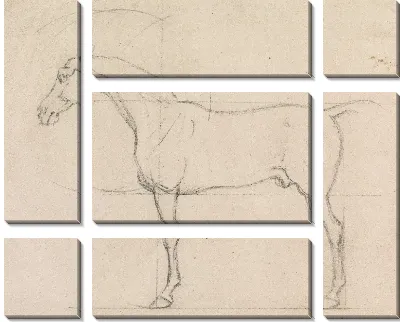 Лошадь в профиль