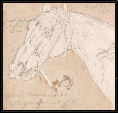 Картина Голова лошади, лицом налево