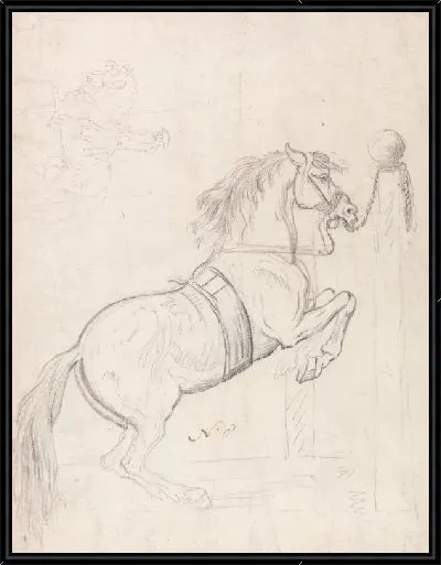 Картина Ле Пиафф (I): Тренировка в Столпе, Уздечка для лошадей и Повязка ...