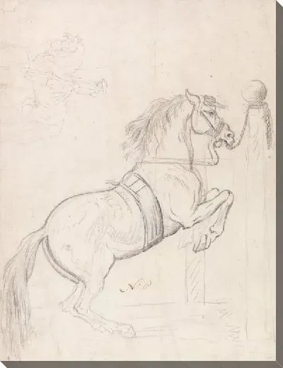 Картина Ле Пиафф (I): Тренировка в Столпе, Уздечка для лошадей и Повязка ...