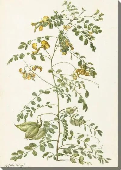 Картина Блазентруик