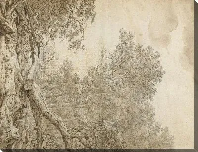 Картина Hoog Soerensche Bosschen возле Апелдорна