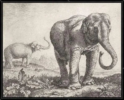 Два слона в пейзаже