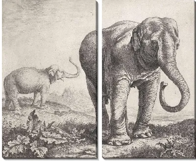 Два слона в пейзаже