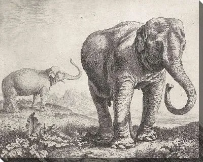 Два слона в пейзаже