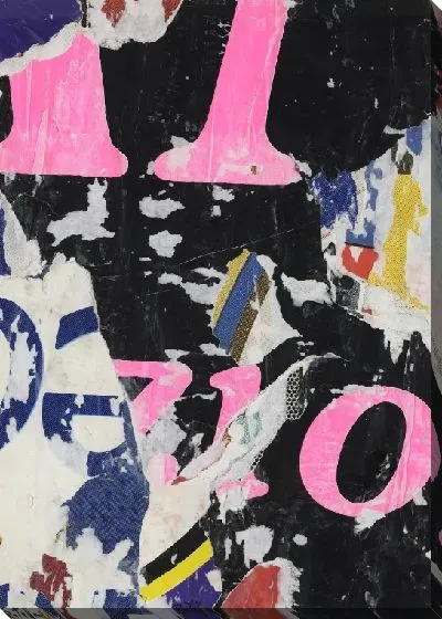 Картина Z.I.O.