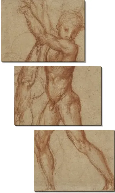 Картина Исследование обнаженного мальчика, исследование частичной фигуры