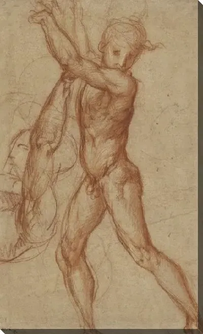 Картина Исследование обнаженного мальчика, исследование частичной фигуры