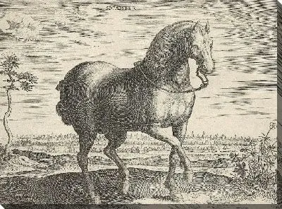 Картина Лошадь из Гелре