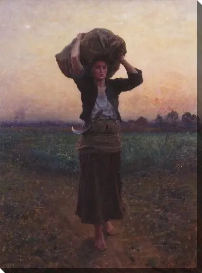 Картина Звезда пастуха