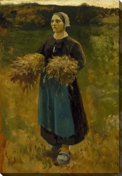 Картина Сборщица урожая