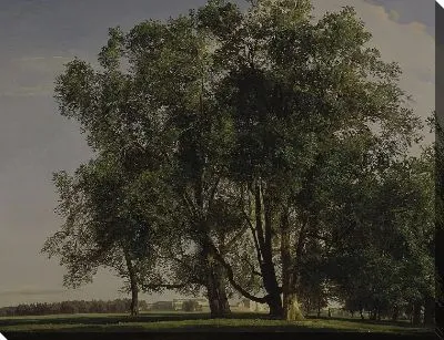 Пейзаж Пратера