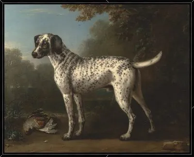 Серая пятнистая гончая