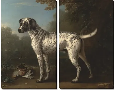 Серая пятнистая гончая