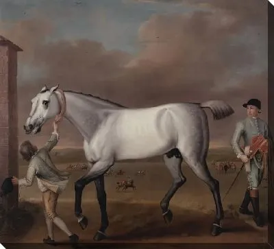 Серая скаковая лошадь герцога Гамильтона "победоносная" в Ньюмаркете