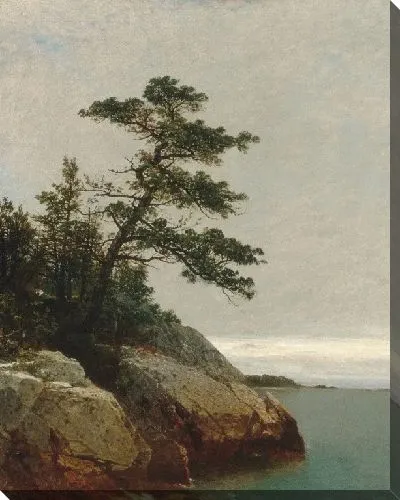 Картина Старая сосна, Дариен, Коннектикут