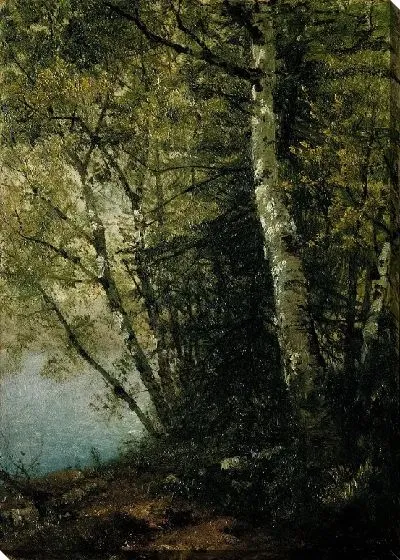 Картина Изучение Буков