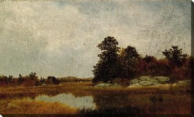 Октябрь в болотах