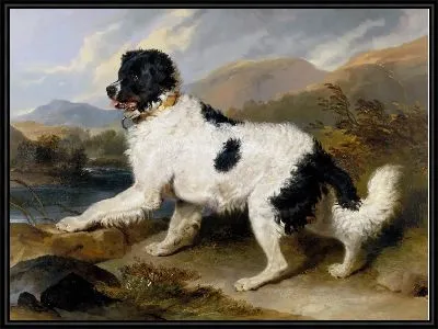 Лев: ньюфаундленд 