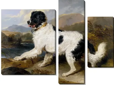 Лев: ньюфаундленд 