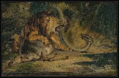 Лев защищает свою добычу 