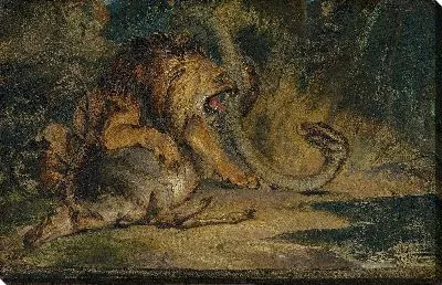 Лев защищает свою добычу 